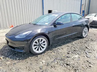 2023 Tesla Model 3 5YJ3E1EA5PF451247 Lot 58955816