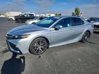2021 Toyota Camry 4T1G31AK7MU566632