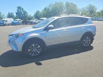 2016 Toyota RAV4 JTMRJREV6GD043824