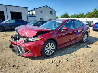 2019 Toyota Camry 4T1B11HK1KU237251