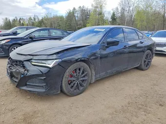 2022 Acura TLX 19UUB6F51NA800505