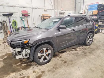 2019 Jeep Cherokee 1C4PJMDN5KD180628