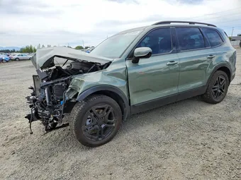 2025 Kia Telluride 5XYP5DGC1SG705619