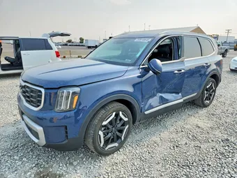 2024 Kia Telluride 5XYP6DGC7RG413710