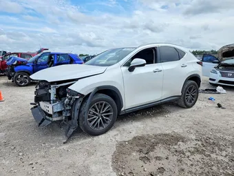 2023 Lexus NX JTJADCAZ0P2006951
