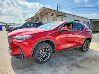 2026 Lexus NX JTJGCCAZ8T2040336