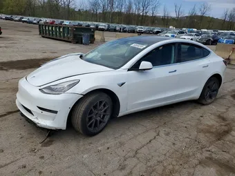 2020 Tesla Model 3 5YJ3E1EA2LF597941 Lot 50668206