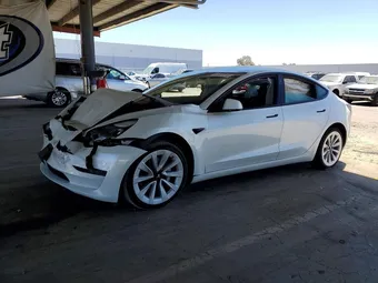 2023 Tesla Model 3 5YJ3E1EB9PF592833 Lot 61367516