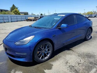 2021 Tesla Model 3 5YJ3E1EA1MF875178 Lot 61360896