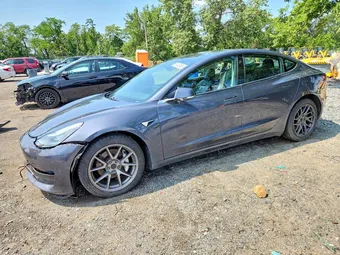 2019 Tesla Model 3 5YJ3E1EB1KF386026