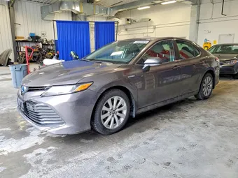 2020 Toyota Camry Hybrid 4T1C31AK2LU534006