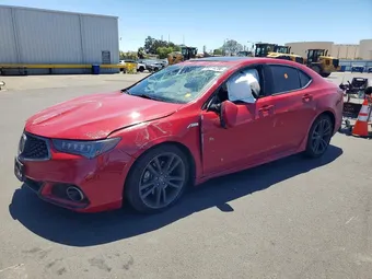 2019 Acura TLX 19UUB2F66KA006340