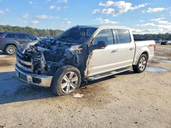 2015 Ford F-150 1FTEW1EG8FFA70920 Lot 73512875
