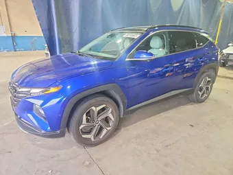 2024 Hyundai Tucson 5NMJECDE1RH298567