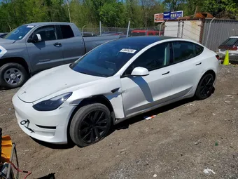 2023 Tesla Model 3 5YJ3E1EA2PF556697 Lot 56591416