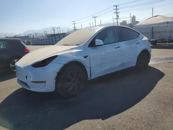 2024 Tesla Model Y 7SAYGDEE5RF105533