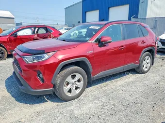 2021 Toyota RAV4 2T3RWRFV6MW103454
