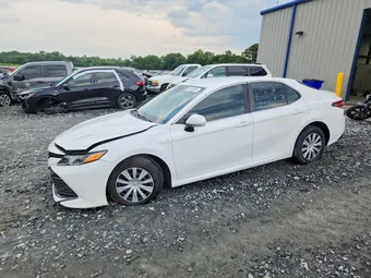 2019 Toyota Camry 4T1B31HK2KU511731 Lot 57044656