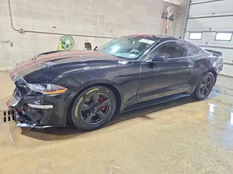 2019 Ford Mustang 1FA6P8TH3K5116262