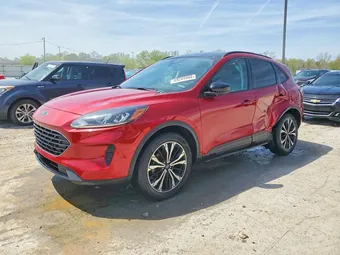 2021 Ford Escape 1FMCU9G66MUB30195