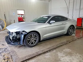 2017 Ford Mustang 1FA6P8TH8H5227432 Lot 52237616