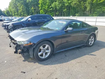 2019 Ford Mustang 1FA6P8TH5K5132091 Lot 62006076