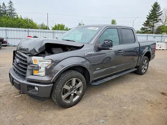 2016 Ford F-150 1FTEW1EG0GFC68568