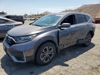2020 Honda CR-V 7FARW1H58LE016579 Lot 64237266