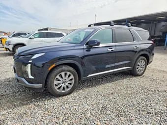 2024 Hyundai Palisade KM8R2DGE9RU736513