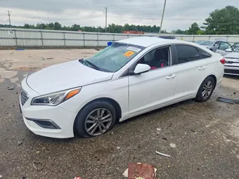 2016 Hyundai Sonata 5NPE24AF2GH404067 Lot 59839596