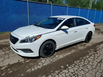 2016 Hyundai Sonata 5NPE24AF6GH285262
