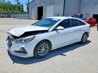2019 Hyundai Sonata 5NPE24AF1KH770188