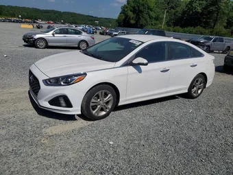 2019 Hyundai Sonata 5NPE34AF5KH788724