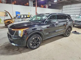 2024 Kia Sorento 5XYRLDJC0RG276331