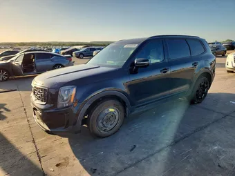 2021 Kia Telluride 5XYP5DHCXMG125254