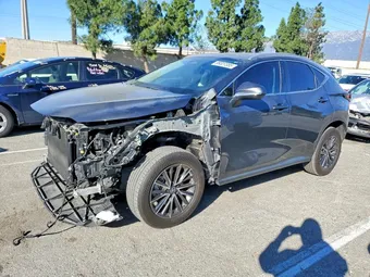 2024 Lexus NX 350 2T2AGCEZ4RC050522