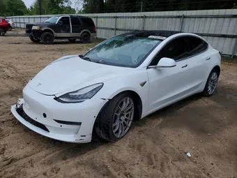 2020 Tesla Model 3 5YJ3E1EC7LF719176