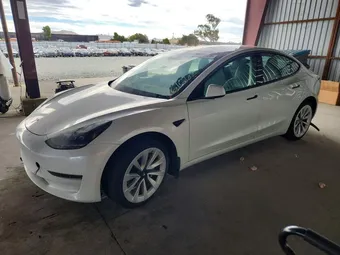 2021 Tesla Model 3 5YJ3E1EA3MF089267 Lot 61618126
