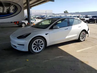 2023 Tesla Model 3 5YJ3E1EA8PF573648 Lot 51511756