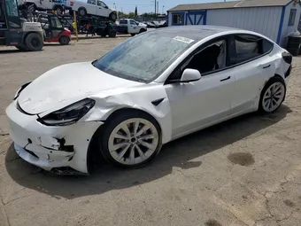 2021 Tesla Model 3 5YJ3E1EA7MF067823