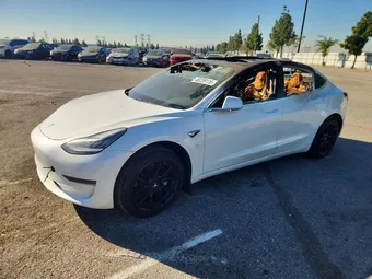 2019 Tesla Model 3 5YJ3E1EA4KF482496 Lot 46239116