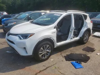 2018 Toyota RAV4 JTMRJREV7JD190256