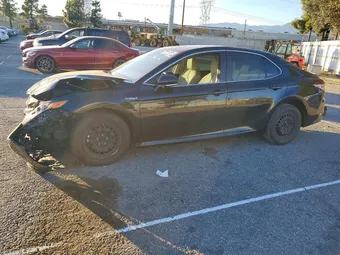 2019 Toyota Camry 4T1B31HK2KU509445
