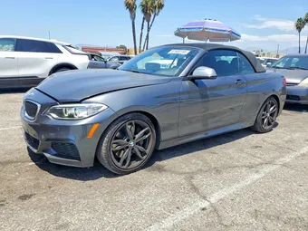 2016 BMW 2 Series WBA1M1C58GV394007