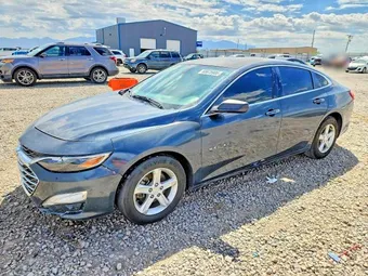 2019 Chevrolet Malibu 1G1ZB5STXKF145559