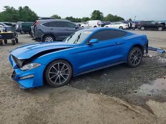 2019 Ford Mustang 1FA6P8THXK5117828