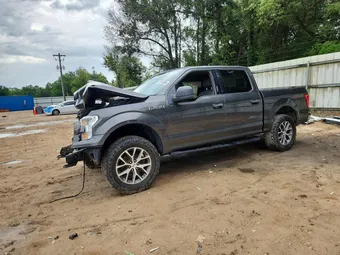 2015 Ford F-150 1FTEW1E87FFC33694
