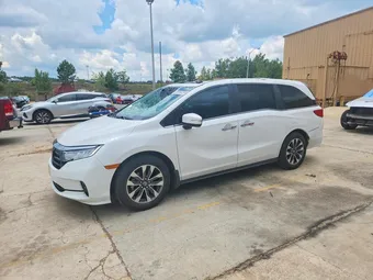 2024 Honda Odyssey 5FNRL6H62RB010893