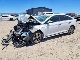 2019 Hyundai Sonata 5NPE34AF7KH810836