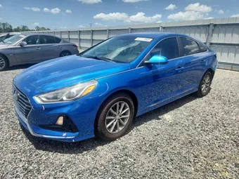 2019 Hyundai Sonata 5NPE24AF1KH755478